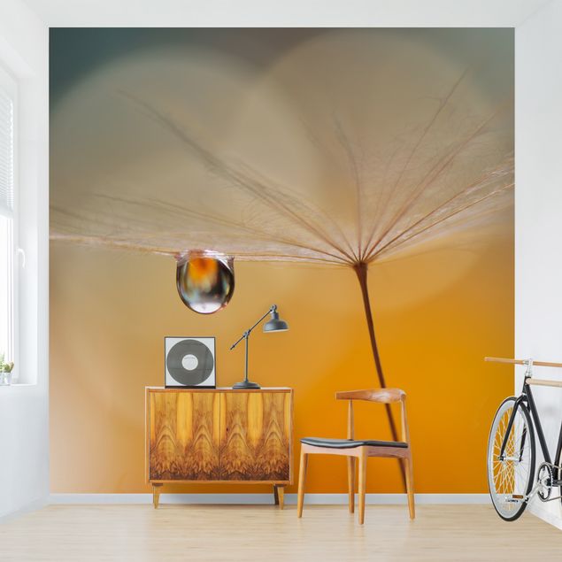 Moderne tapet Dandelion In Orange