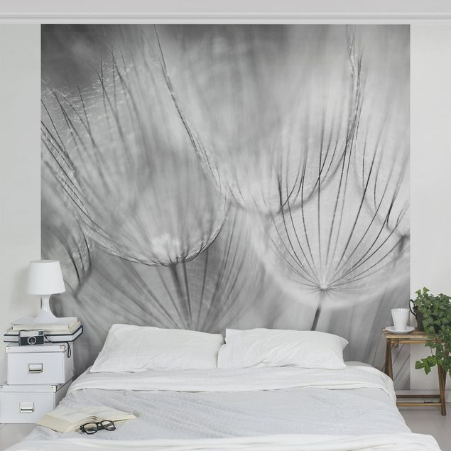Tapet moderne Dandelions Macro Shot In Black And White