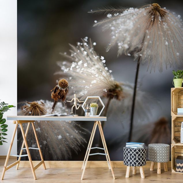 Tapet moderne Dandelions With Snowflakes