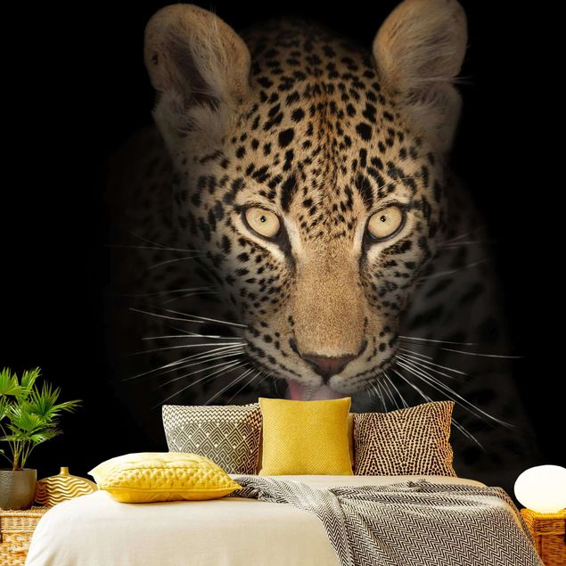 Tapet moderne Resting Leopard