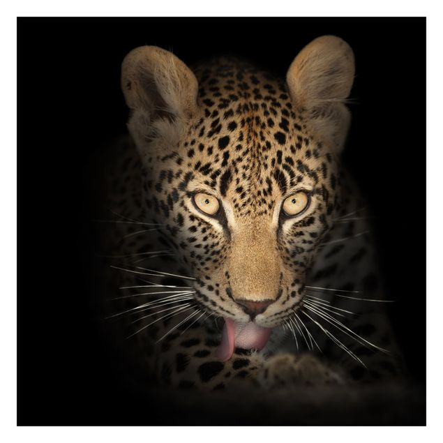 Tapet gul Resting Leopard