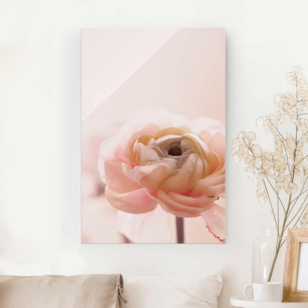 Glasbilleder roser Focus On Light Pink Flower