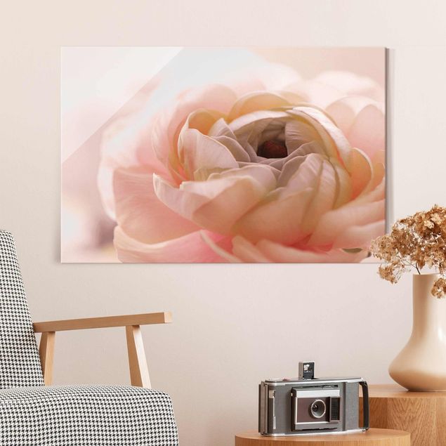 Glasbilleder roser Focus On Light Pink Flower