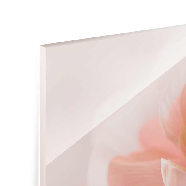 Billeder Monika Strigel Focus On Light Pink Flower