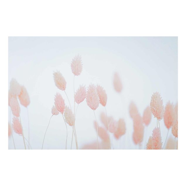 Billeder Monika Strigel Grass Tips In Pale Pink