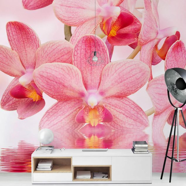 Moderne tapet Light Pink Orchid On Water