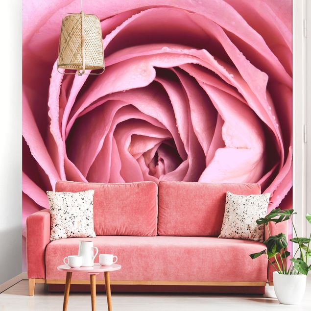 Fototapet roser Pink Rose Blossom