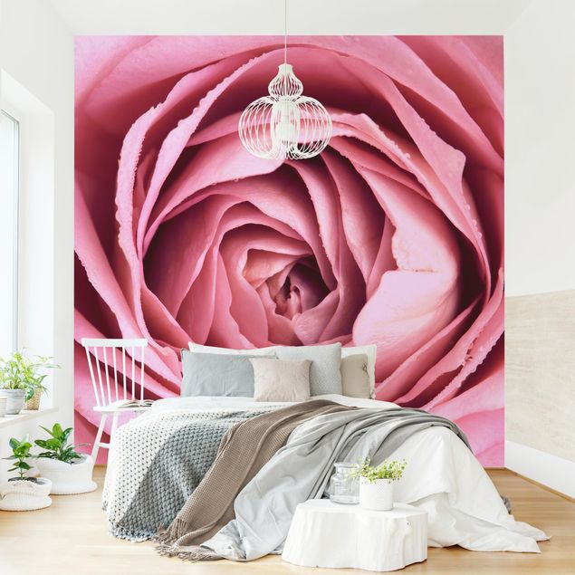 Tapet blomster Pink Rose Blossom