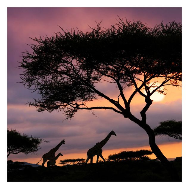 Tapet moderne African Safari