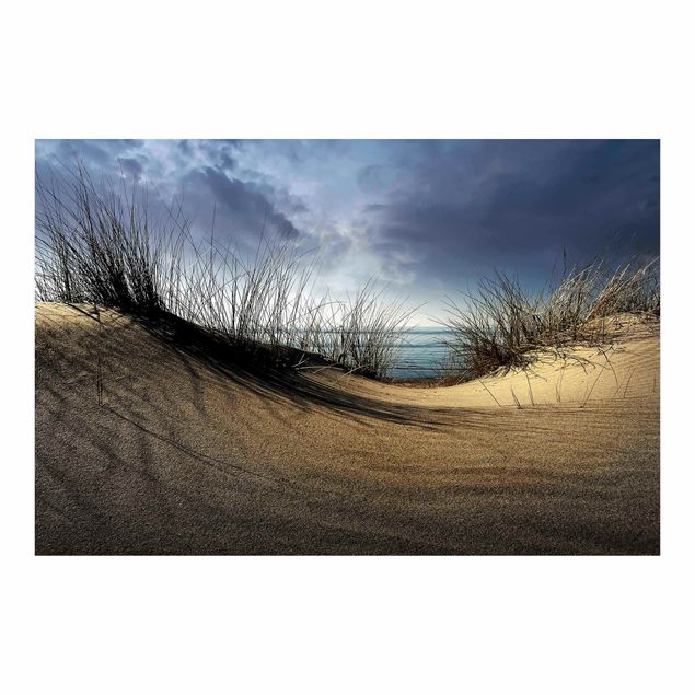 Fototapet landskaber Sand Dune