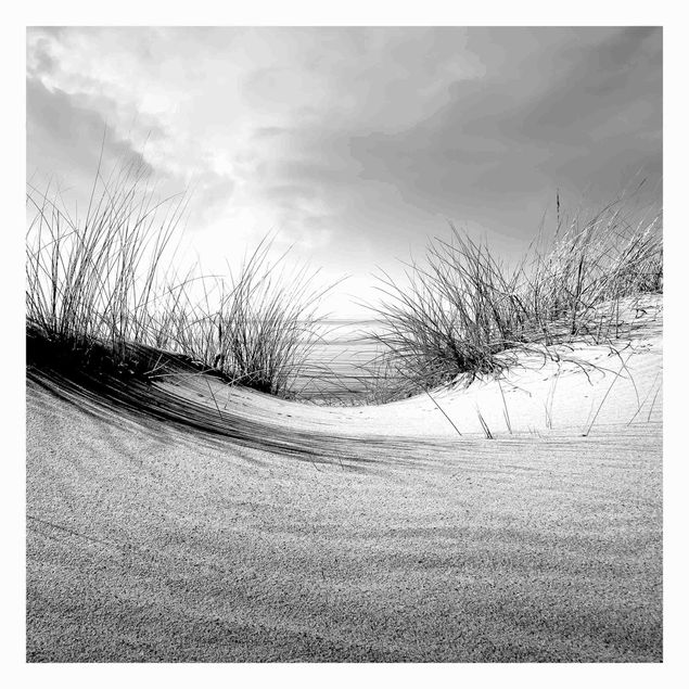 Fototapet landskaber Sand Dune Black And White