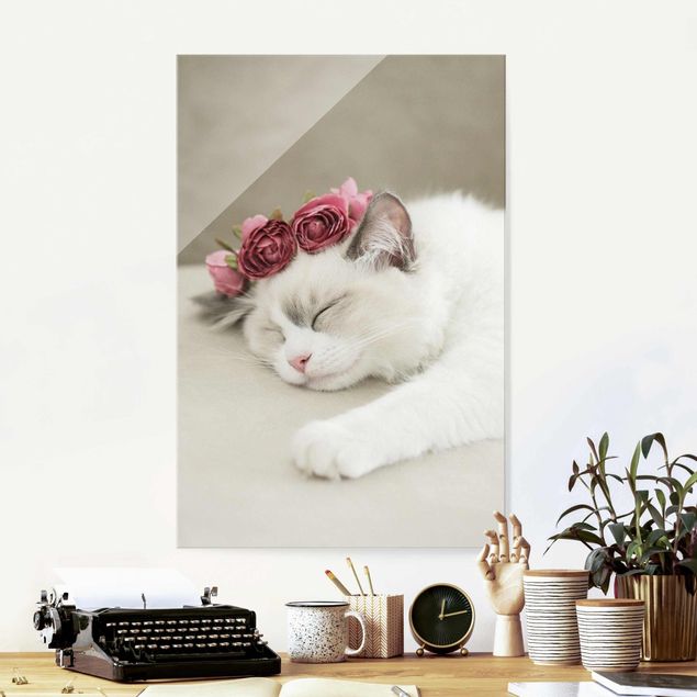 Glasbilleder roser Sleeping Cat with Roses