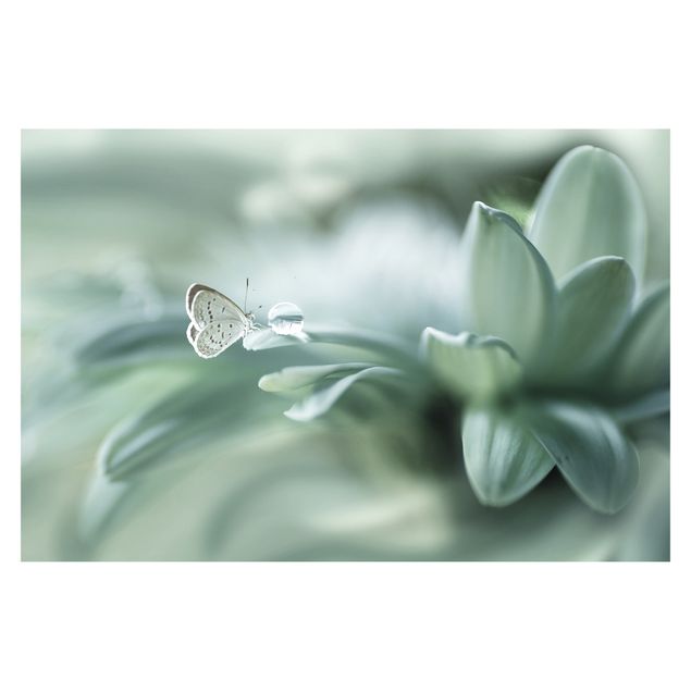 Tapet Butterfly And Dew Drops In Pastel Green