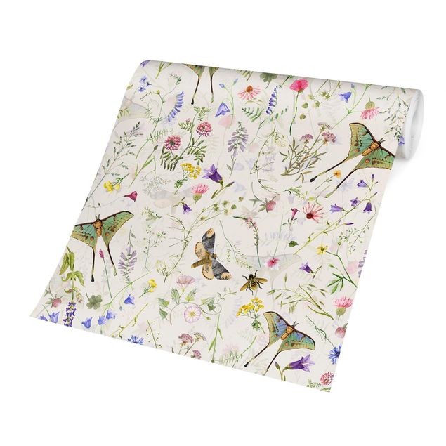 Tapet moderne Butterflies With Flowers On Cream Colour