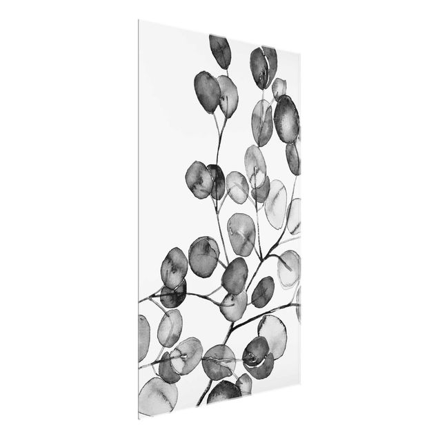 Billeder blomster Black And White Eucalyptus Twig Watercolour