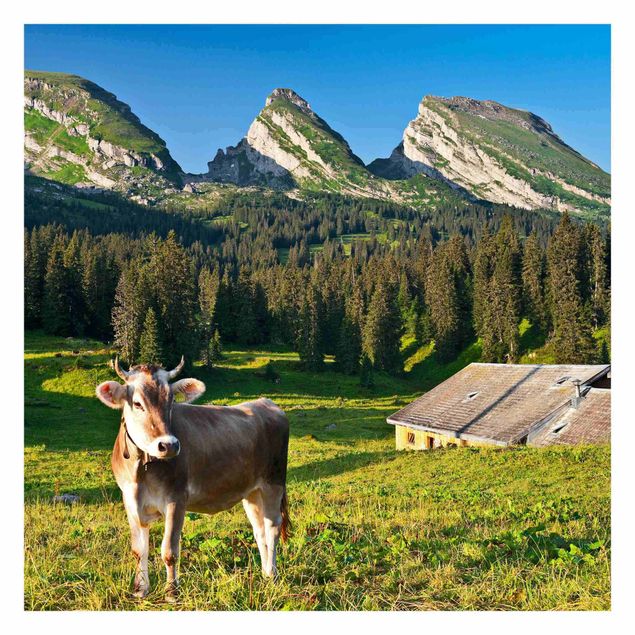Billeder Rainer Mirau Swiss Alpine Meadow With Cow