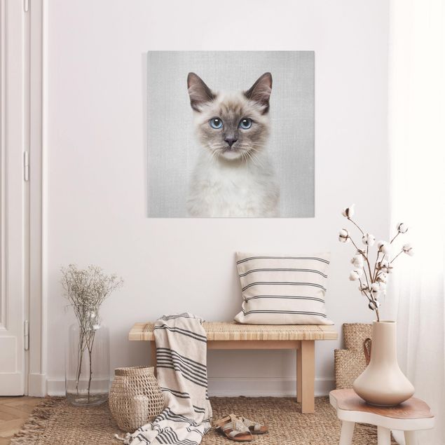 Billeder på lærred katte Siamese Cat Sibylle