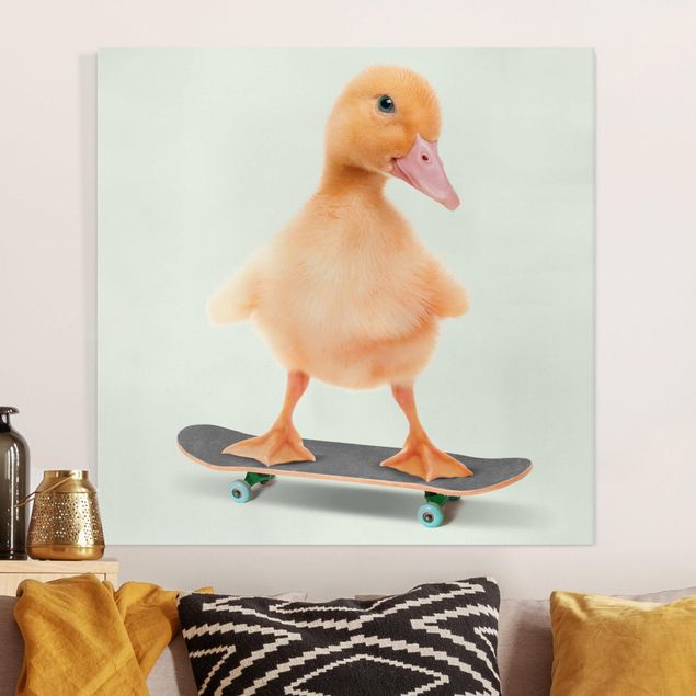 Billeder på lærred fugle Skate Duck