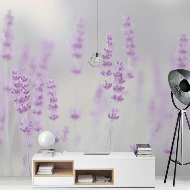 Moderne tapet Summer In A Field Of Lavender