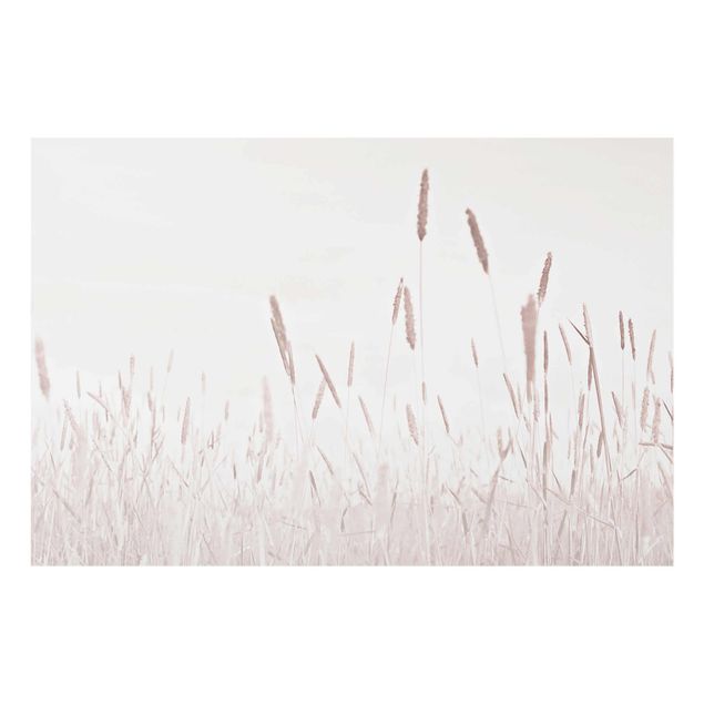 Billeder Monika Strigel Summerly Reed Grass