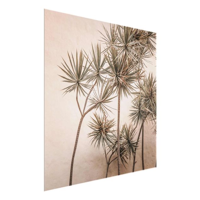 Glasbilleder blomster Sun-Kissed Palm Trees