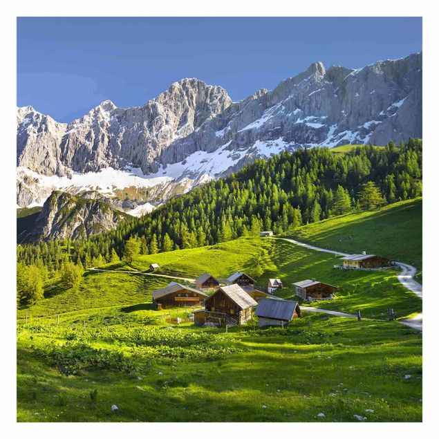 Grøn tapet Styria Alpine Meadow