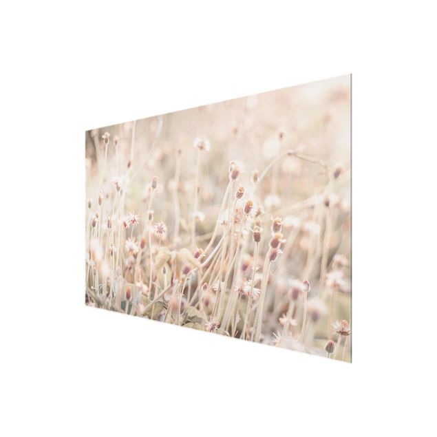 Glas magnettavla Flowering Meadow In the Sun