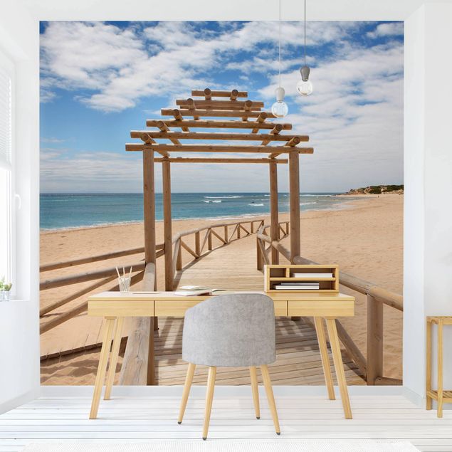 3d tapet Beach Path To The Sea In Andalusia
