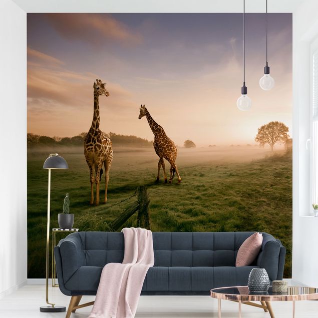 Fototapet Afrika Surreal Giraffes