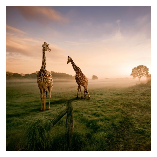 Fototapet landskaber Surreal Giraffes