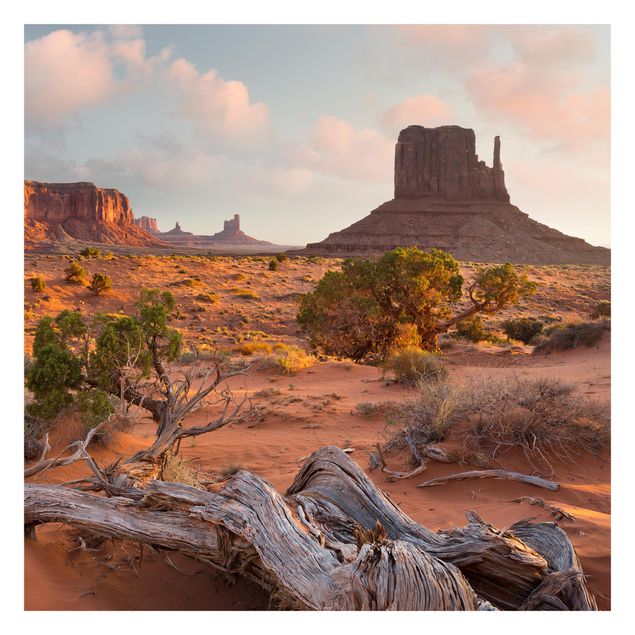 Billeder Rainer Mirau Monument Valley Navajo Tribal Park Arizona