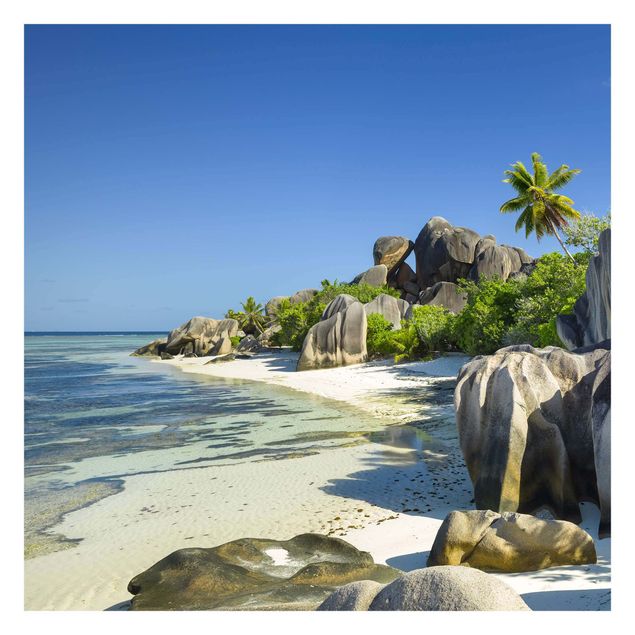 Billeder Rainer Mirau Dream Beach Seychelles