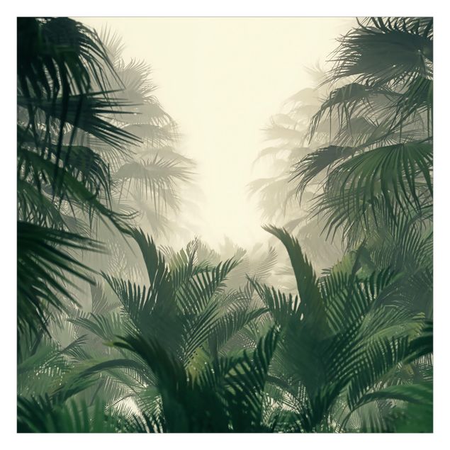 Tapet Tropical Plants In Fog