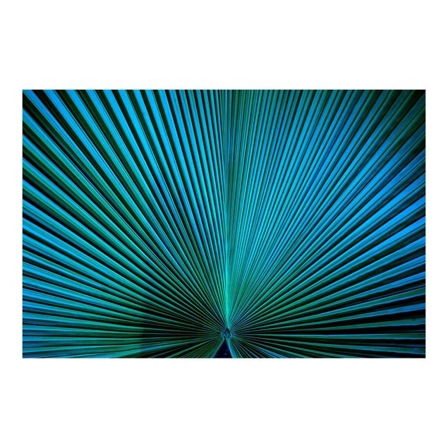 Tapet Tropical Plants Palm Leaf In Turquoise ll