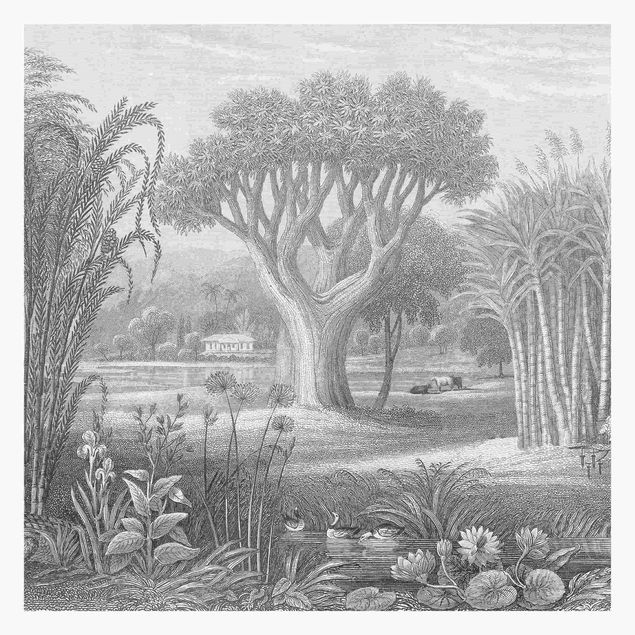 Tapet Tropical Copperplate Engraving Garden With Pond In Grey