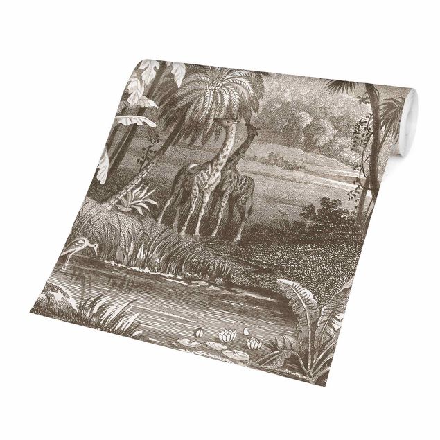 Moderne tapet Tropical Copperplate Engraving With Giraffes In Brown