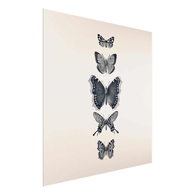 Billeder moderne Ink Butterflies On Beige Backdrop
