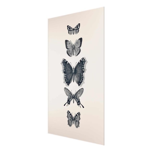 Billeder grå Ink Butterflies On Beige Backdrop