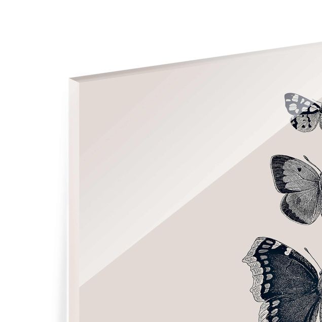 Billeder Monika Strigel Ink Butterflies On Beige Backdrop