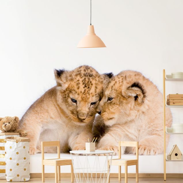 køkken dekorationer Two Lion Babys