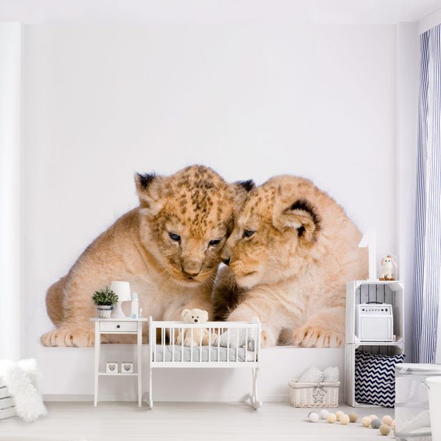 Moderne tapet Two Lion Babys