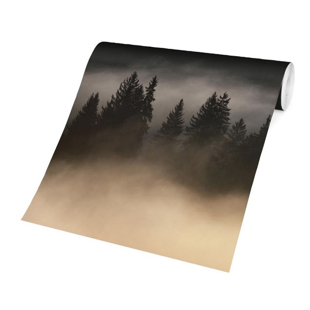 Fototapet sort Dreamy Foggy Forest