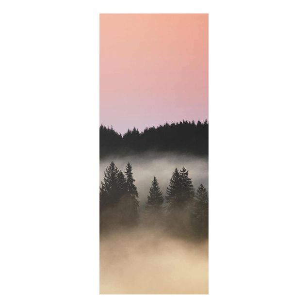Billeder natur Dreamy Foggy Forest