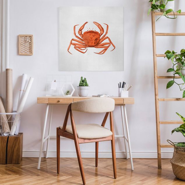 Billeder landskaber Vintage Illustration Red Crab