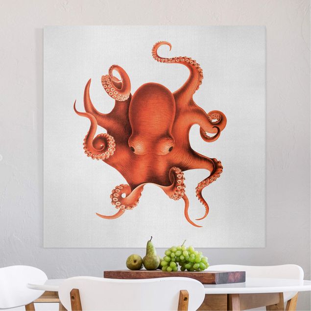 Billeder på lærred fisk Vintage Illustration Red Octopus