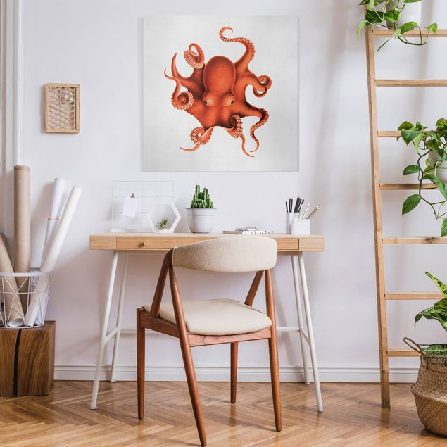 Billeder fisk Vintage Illustration Red Octopus