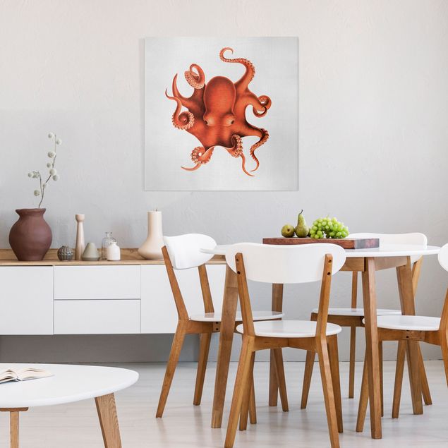 Billeder landskaber Vintage Illustration Red Octopus