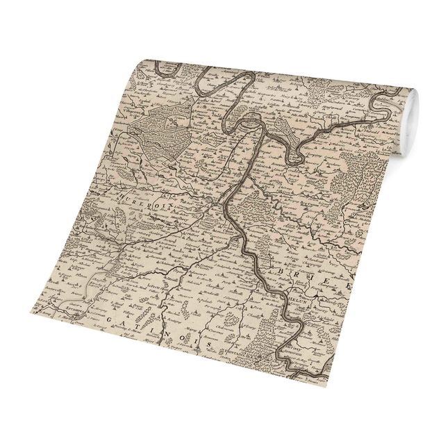 Tapet beige Vintage Map France