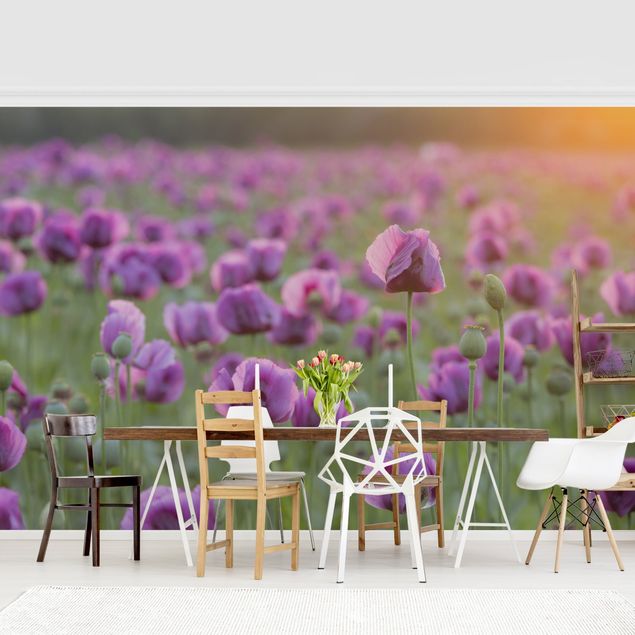 Moderne tapet Purple Poppy Flower Meadow In Spring