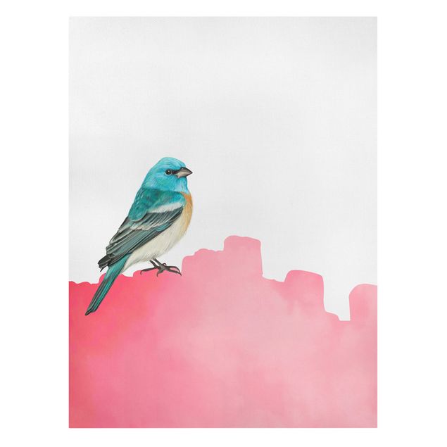 Billeder dyr Bird On Pink Backdrop